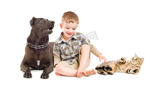 爱笑的男孩坐在一起的狗和猫