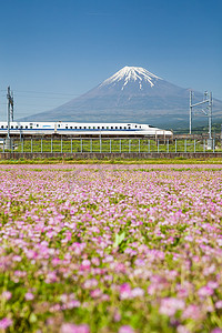 东海道摄影照片_视图的富士山和 