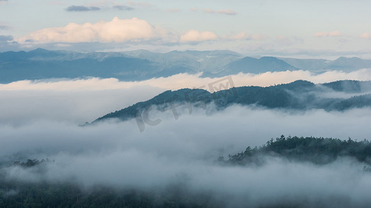晨雾在茂密的热带雨林，朦胧山林 