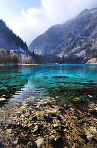 国家公园摄影照片_田园诗般的蓝色湖泊，九寨沟国家公园中国