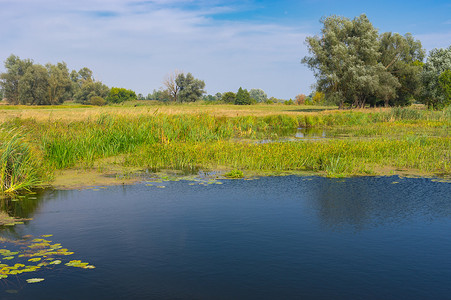 乌克兰中部一条小河流 Merla 的夏末景观