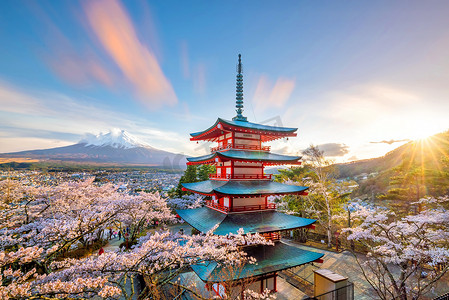 富士山和楚里托红塔，日落时开满樱花