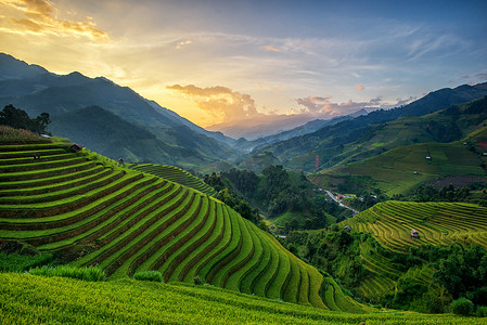 vietnam摄影照片_Rice fields on terrace in rainy season at Mu Cang Chai, Yen Bai, Vietnam