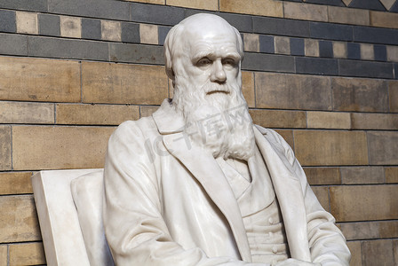 查尔斯 · 达尔文雕像在自然史博物馆