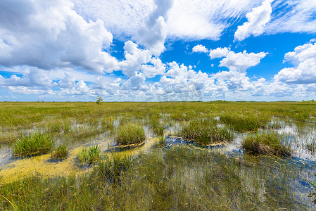 视图从 Pa 干草-汇客大瞭望塔在沼泽地国家公园, 佛罗里达, 美国.