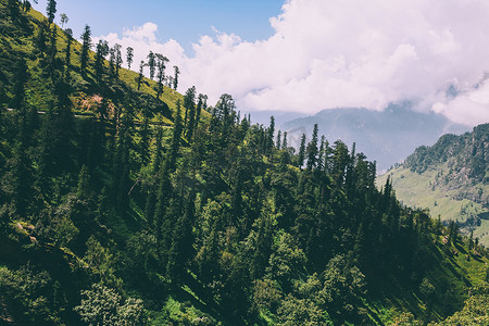唐山摄影照片_美丽的树木生长在风景秀丽的山脉, 印度喜马拉雅, 唐山口  