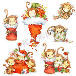 猴年设置。可爱的卡通猴子。新的一年装修元素和水彩的猴子。新年和圣诞节的背景与卡通猴子。新的一年的猴子。猴子水彩插图