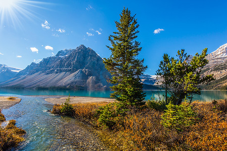 加拿大雄伟的落基山脉。艾伯塔省冰湖碧绿清澈的水.湖畔的云杉和松树。阳光反射在弓湖上