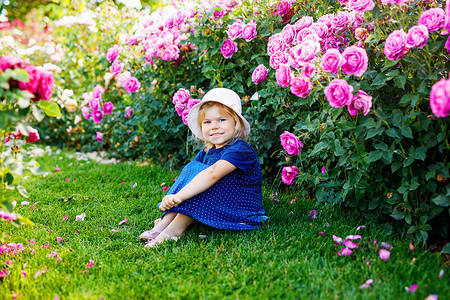 在盛开的玫瑰花园里，一个蹒跚学步的小女孩的画像。夏天阳光明媚的日子，在公园里用玫瑰和鲜花玩乐，可爱可爱可爱的孩子。快乐的微笑宝贝.