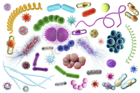 链球菌摄影照片_微生物的不同形状