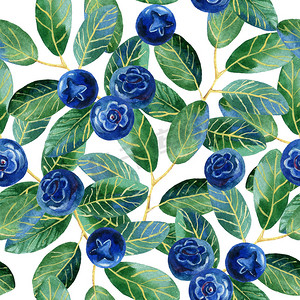 蓝莓用叶子，水彩插画