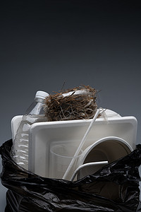 环保垃圾分类背景摄影照片_鸟巢