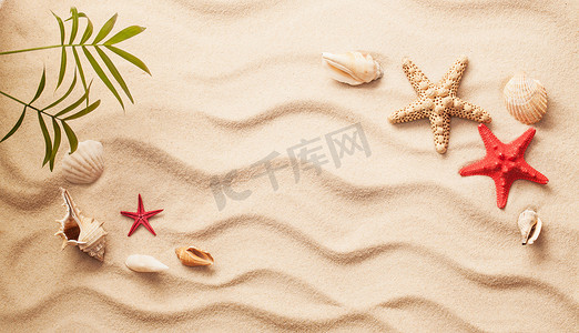 在沙滩上的贝壳。夏季海滩背景