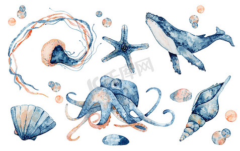 an鲸鱼摄影照片_一组海洋动物。蓝色水彩鱼，美杜莎，鲸鱼，海马，章鱼.