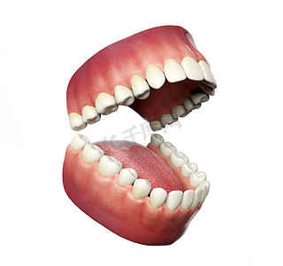 人类的牙齿摄影照片_人类的牙齿打开孤立在白色的背景，3d 渲染