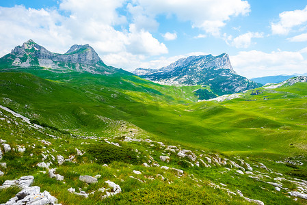 黑山杜尔米托尔地块上有石块和山脉的绿色山谷