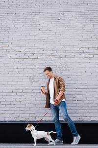 脚踏摄影照片_穿着牛仔裤的男人拿着一次性杯子，脚踏着皮带走路。在建筑物的立面附近卖狗 