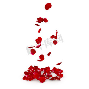 花瓣暗红色玫瑰飞在地板上
