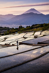 中野摄影照片_日本水稻梯田和上午南阿尔卑斯山中野，山梨县甲府市的山富士