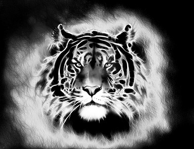 contact摄影照片_painting of a bright mighty tiger head on a soft toned abstract background eye contact. Black and white