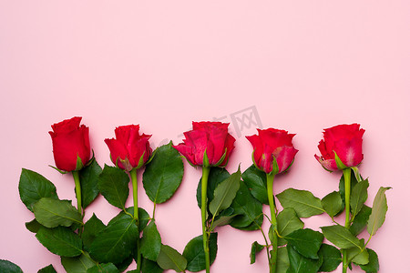 空间粉色背景摄影照片_粉色背景图上的一束玫瑰