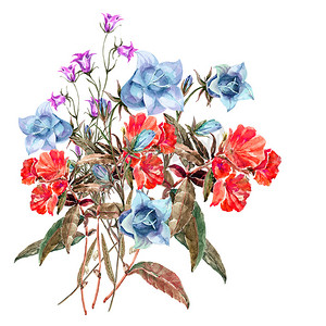 水彩花束蓝色和红色花。花卉插图祝贺. 