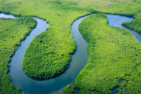 森林摄影照片_南美洲，巴西亚马逊雨林的空中景观。绿色森林。鸟瞰全景. 