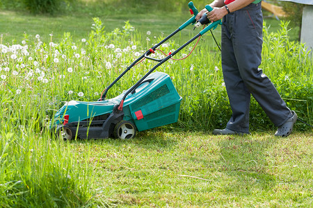 草坪割草机在花园里的园丁刈草.