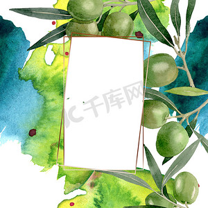 橄榄枝与黑色和绿色的水果。水彩背景插图集。框架边框装饰广场.