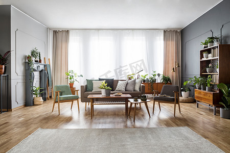 真正的照片, 一个宽敞的, 老式的客厅内部与沙发之间的两个椅子和后面的桌子站在一个柜子旁边, 一个宽阔的窗口, 地毯和许多植物