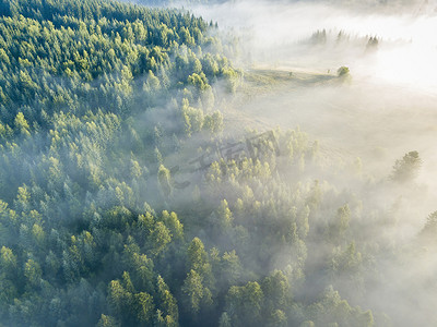 雾笼罩着山林.升起的太阳的光芒冲破了浓雾.空中无人驾驶飞机视图.