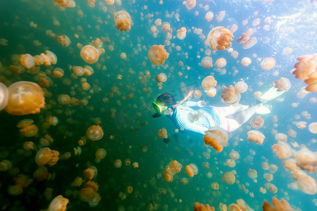 旅游女人与地方性金黄水母湖在帕劳浮潜水下照片。在水母湖浮潜是受欢迎的活动，为游客到帕劳.
