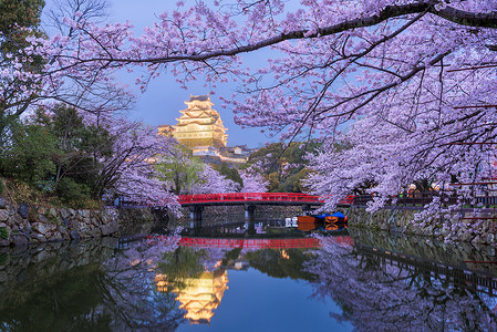 黄昏时分，在喜美城堡周边护城河上的日本喜美吉.