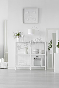 白色金属架子与新鲜的植物, 简单的灯和装饰站立在明亮的房间内部在斯堪的纳维亚样式