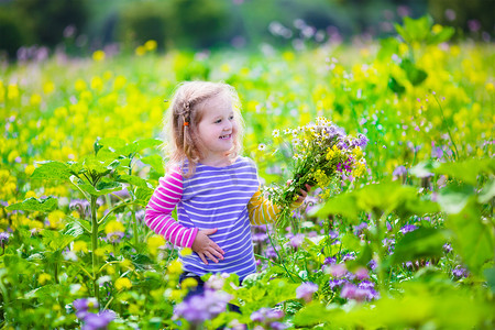 花束妈妈摄影照片_Little girl picking wild flowers in a field