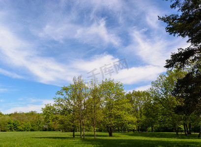绿树成荫的蓝天天