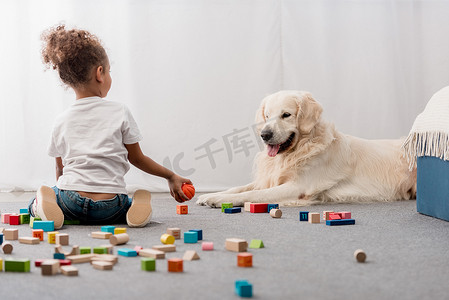 在白色 t恤的小孩与快乐的狗玩玩具立方体