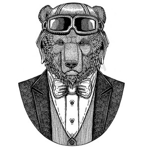棕熊俄国熊动物佩带飞行员盔甲和夹克与弓领带飞行俱乐部手画的例证为纹身、t-shirt、徽章、标志、徽章、补丁
