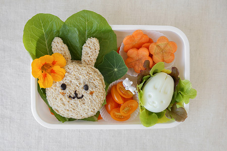 复活节兔子健康午餐盒, 有趣的食物艺术为孩子们