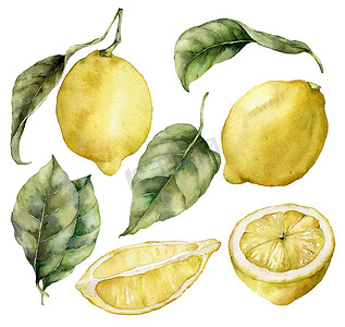 水彩画一套成熟的柠檬和树叶.手绘新鲜水果,白色背景隔离.味道鲜美的食品插图,用于设计,印刷,面料或背景.