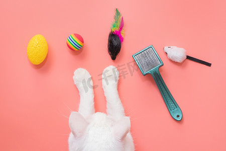 老鼠上灯台摄影照片_宠物用的白猫爪和配件：球、老鼠、梳子。粉色背景，复制空间，顶部视图。宠物用品的概念.