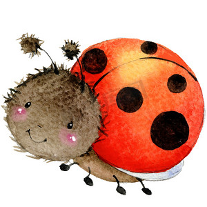 水彩昆虫摄影照片_Cartoon insect ladybug watercolor illustration. isolated on white background.
