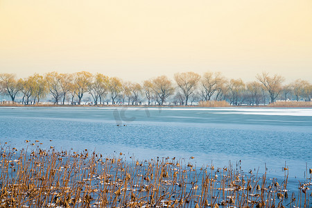 昆明湖西岸秋季，颐和园，中国北京