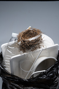 环保垃圾分类背景摄影照片_鸟巢