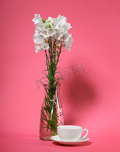 桔梗在粉红色背景的花瓶里