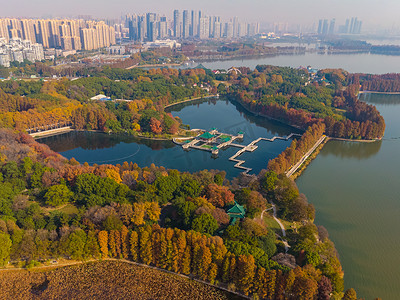 Aerial photography scenery of Tingtao Scenic Area in East Lake, Wuhan, Hubei in late autumn