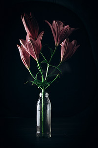在玻璃瓶的木制质朴桌上的黑色背景上，一束粉红色的百合花在光线下。花花植物的新鲜芽特写在花瓶，复制空间。工作室拍摄