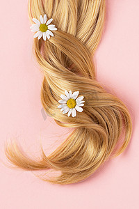 Long golden blond curly hair. A part of blond hair top view on pink background.