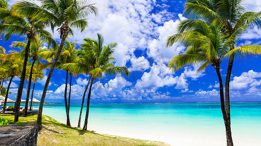 热带风光。美丽的棕榈海滩与碧蓝的海水、 毛里求斯岛.