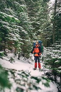 人在美丽的冬天森林徒步旅行